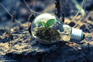 ISO 14001: Environmental Management Systems